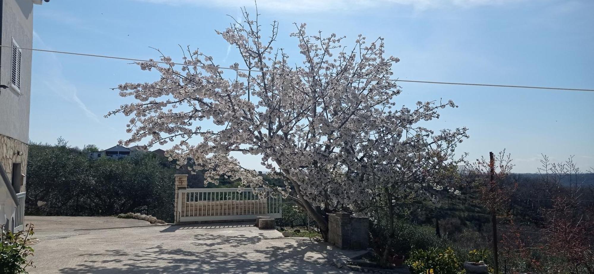 Apartman Tina Ražanac Exteriér fotografie